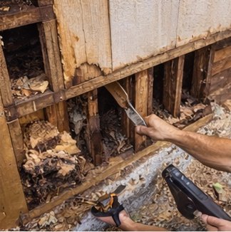 Structural rot repair